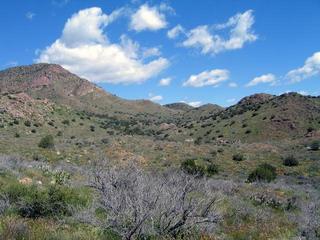 #1: Confluence general area, view northeast