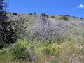 #4: View West