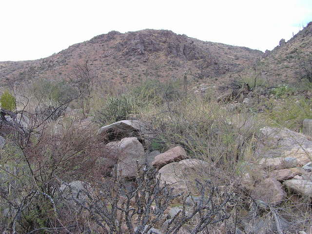 The confluence point is 0.7 miles away, on top of that hill