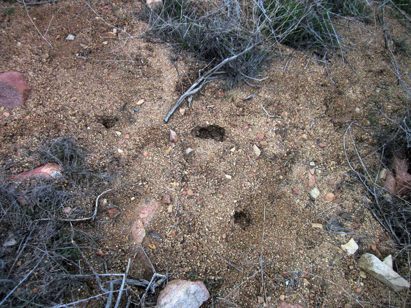 someone was here before me -- about 2m from the confluence