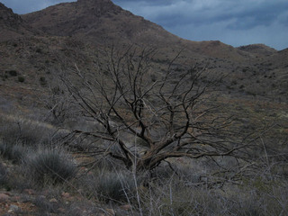 #1: arriving at the confluence from the south