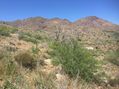 #5: View to the north from the confluence.