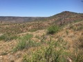 #7: View to the south from the confluence.