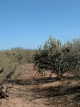 #4: Looking northeast from the confluence