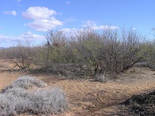#1: View East