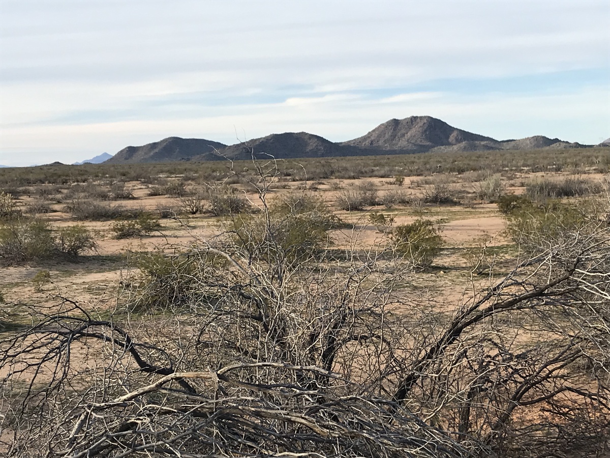 Better view of the landscape to the north, from a point 50 meters northwest of the confluence.