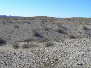 #1: The confluence lies just across the gully in the middle of this photograph, looking west.