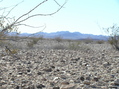 #4: View to the southwest from the confluence.