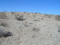 #6: View to the north-northwest from the confluence.