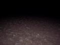 #5: General Area
