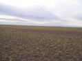 #2: West view (my truck in the distance)