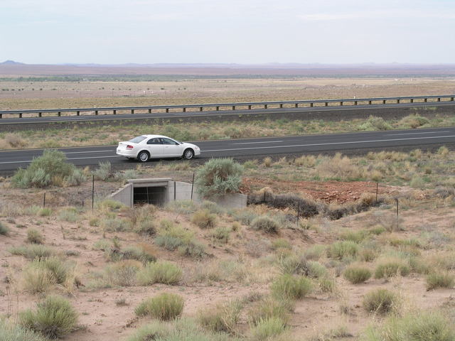 A culvert under Interstate Highway 40 provides a convenient jumping off place (literally) for a hike to the cp.