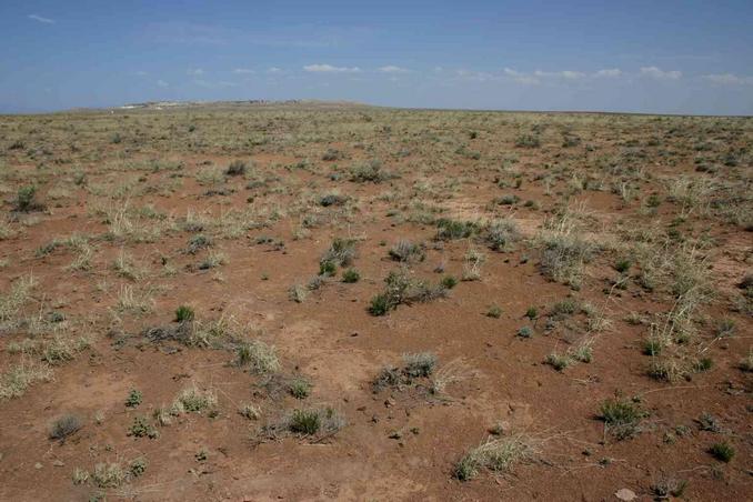 Overview from a point about 40 m south of the confluence