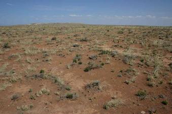 #1: Overview from a point about 40 m south of the confluence