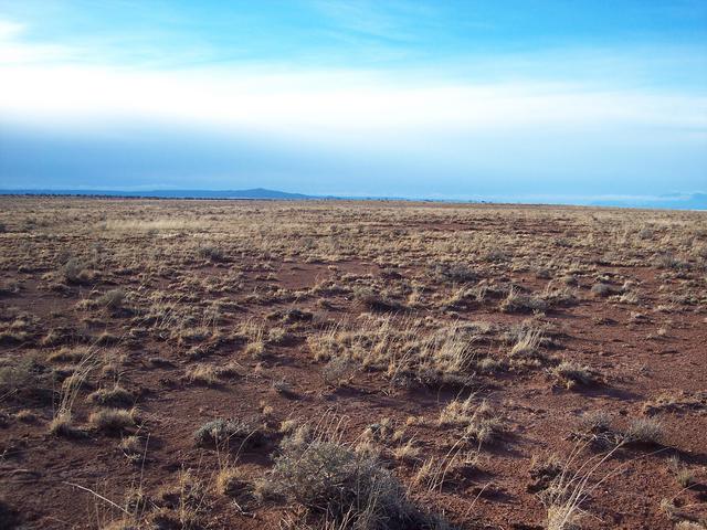 West