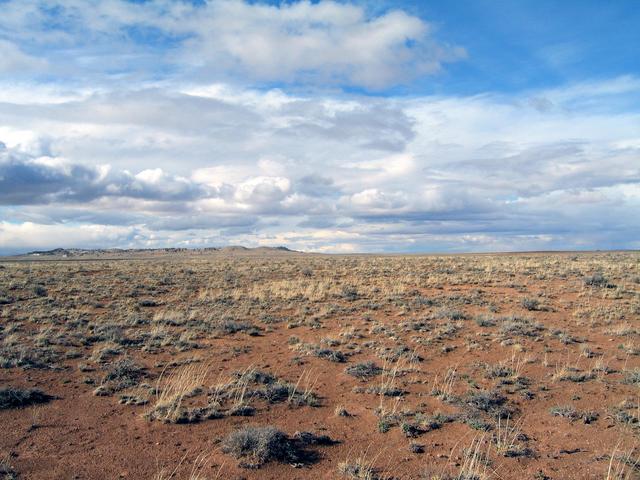 View north with Meteor Crater in the background