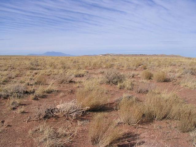 The West view (actually a bit northwest of west).  Humphreys Peak in the back, the meteor crater rim closer to us.