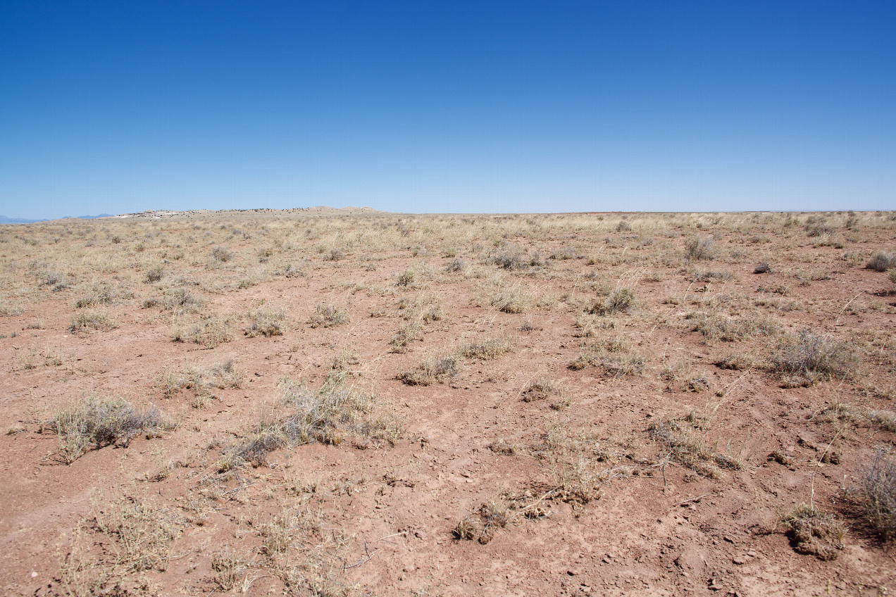 The confluence point lies in arid ranchland.  (This is also a view to the North, towards the rim of the famous Arizona Meteor Crater.)