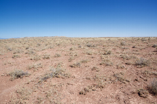 #1: The confluence point lies in arid ranchland.  (This is also a view to the North, towards the rim of the famous Arizona Meteor Crater.)
