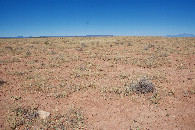 #4: View West