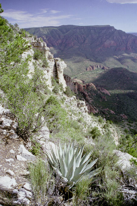 View East along cliff, confluence is about 180m to right at center of pic