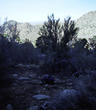 #6: View north from confluence with confluence in foreground