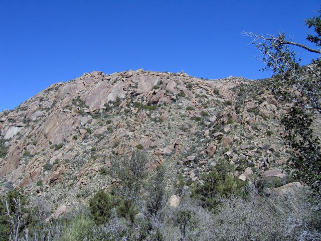 View north across the valley