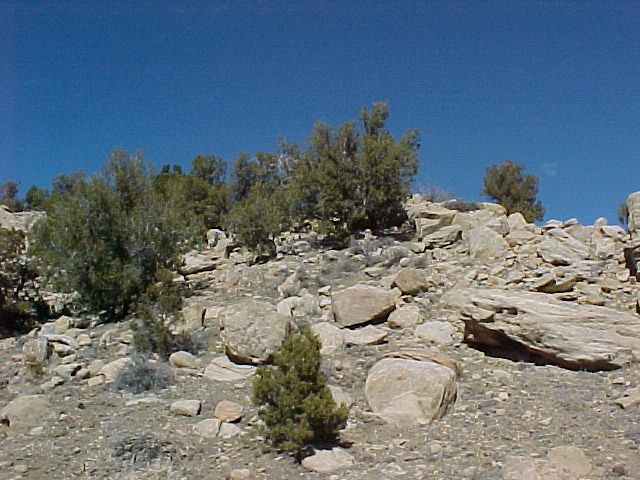 The view toward the north of the confluence