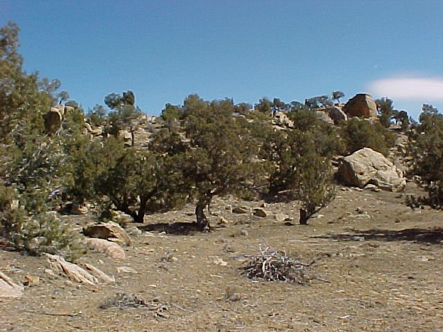 The view looking east from the confluence