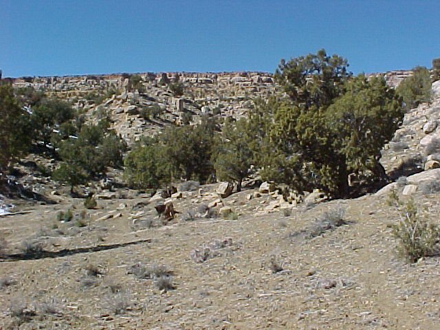 The view looking to the west of the confluence