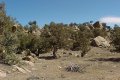 #3: The view looking east from the confluence