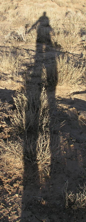 In this self portrait, the author/ confluence hunter takes advantage of the long November shadows to point out 36N 111W exactly.