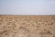 #3: View East