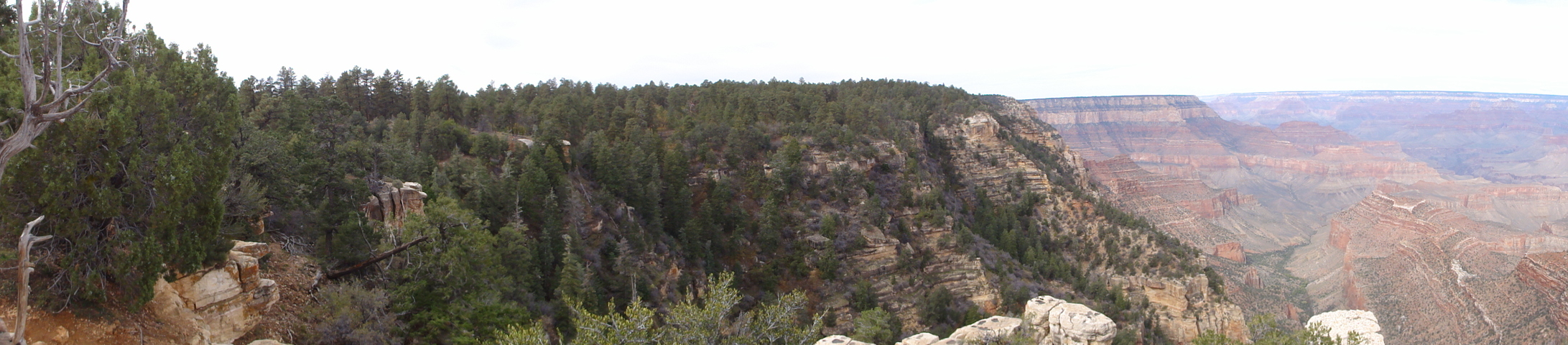 SWN panoramic view shot at the intersection of W112 and the south rim of the Grand canyon