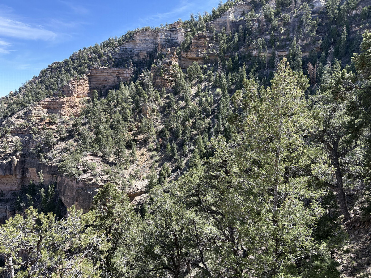 CalTopo map & location