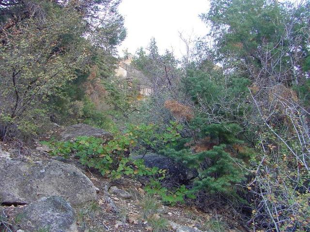 View to South