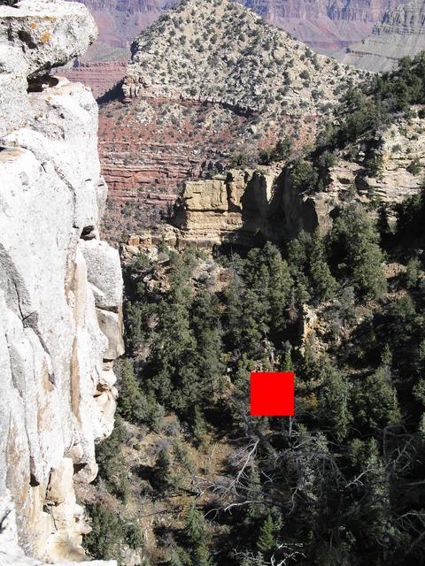 The red box indicates the confluence location