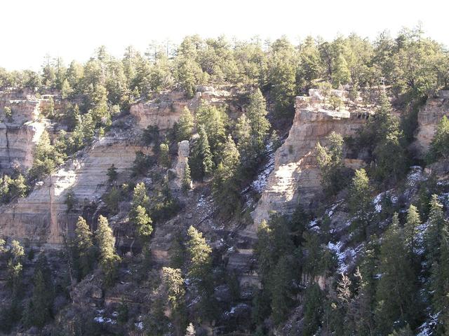 The first two visitors took their photos from here, atop the Kiabab Limestone layer