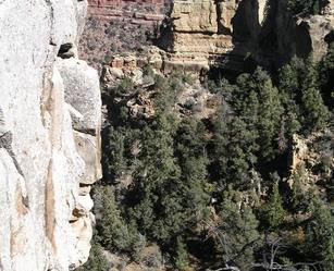 #1: Looking down on 36N 112W from the Grand Canyon's South Rim