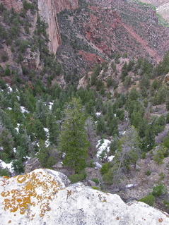 #1: The confluence point lies 403 feet (horizontally) from the front of this rock overhang