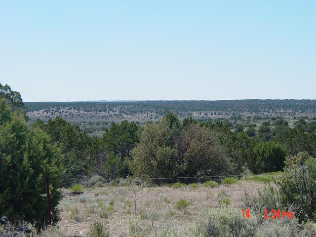 Toward the confluence on Indian Route 16.