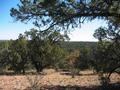 #7: East toward the San Francisco Peaks