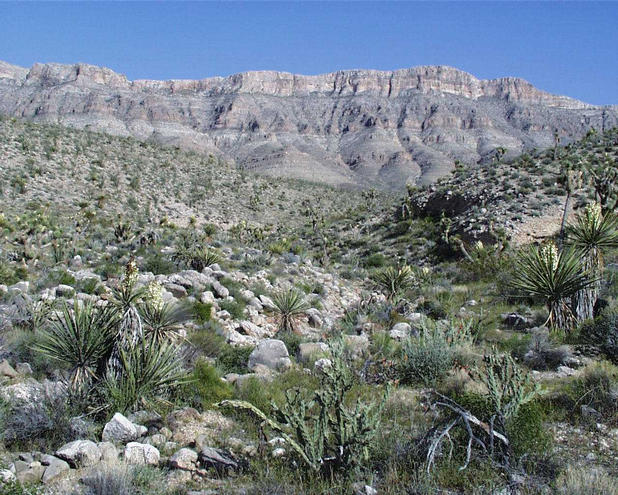 Shows the confluence looking up the wash, towards the southeast and the Grapevine Mesa.