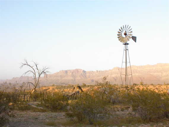 Windmill camp