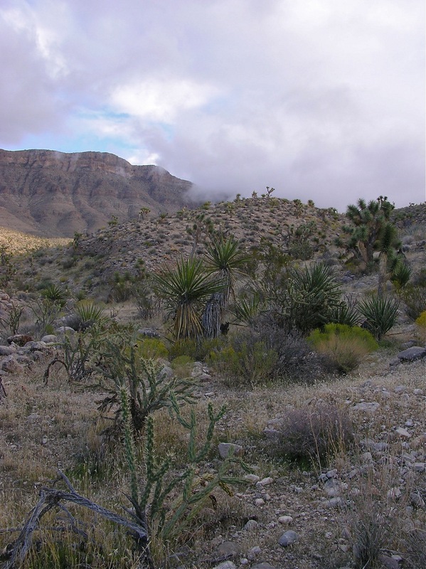 This view to the southeast illustrates the beauty of this area 