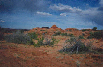 #1: looking north