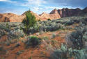 #5: coyote buttes