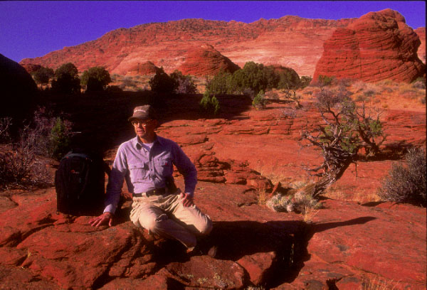 Looking west showing visitor