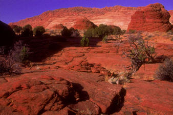 #1: Looking west