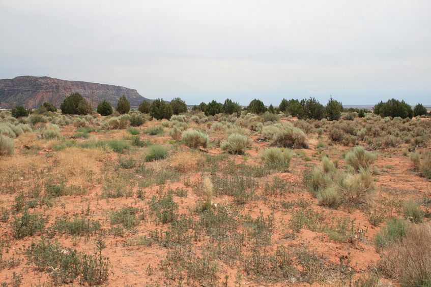 General view of confluence looking southeast.